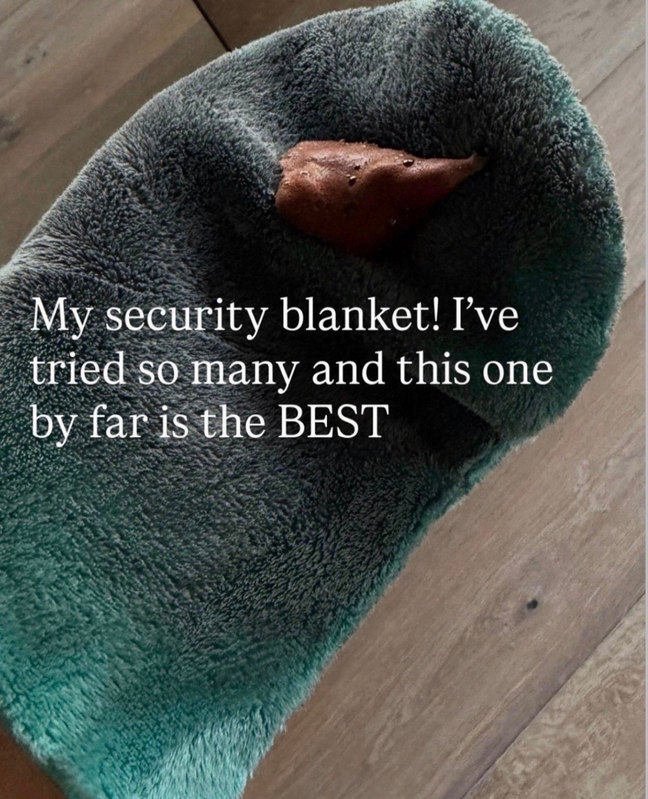 9 things worth packing on your next vacation… BTW when I’m feeling insecure slide 9 saves the day! 

#LTKTravel #LTKSeasonal #LTKBeauty