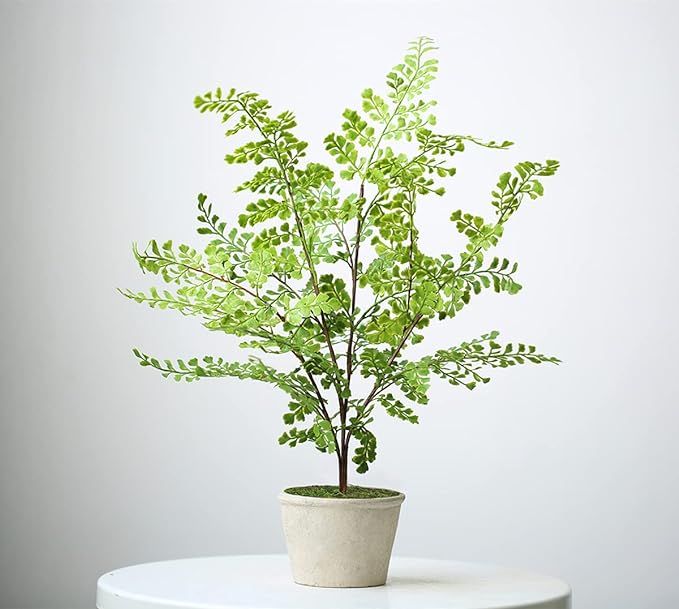 20" Artificial Tree Plants, Fake Ferns Desk Plants in Small Pots, Faux Plants Indoor, for Home Of... | Amazon (US)