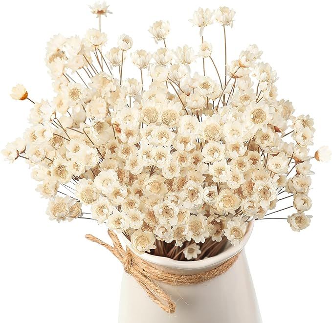 WILLBOND Natural Dry Flowers Brazilian Small Star Daisy Dried White Decorative Mini Chamomile Bou... | Amazon (US)