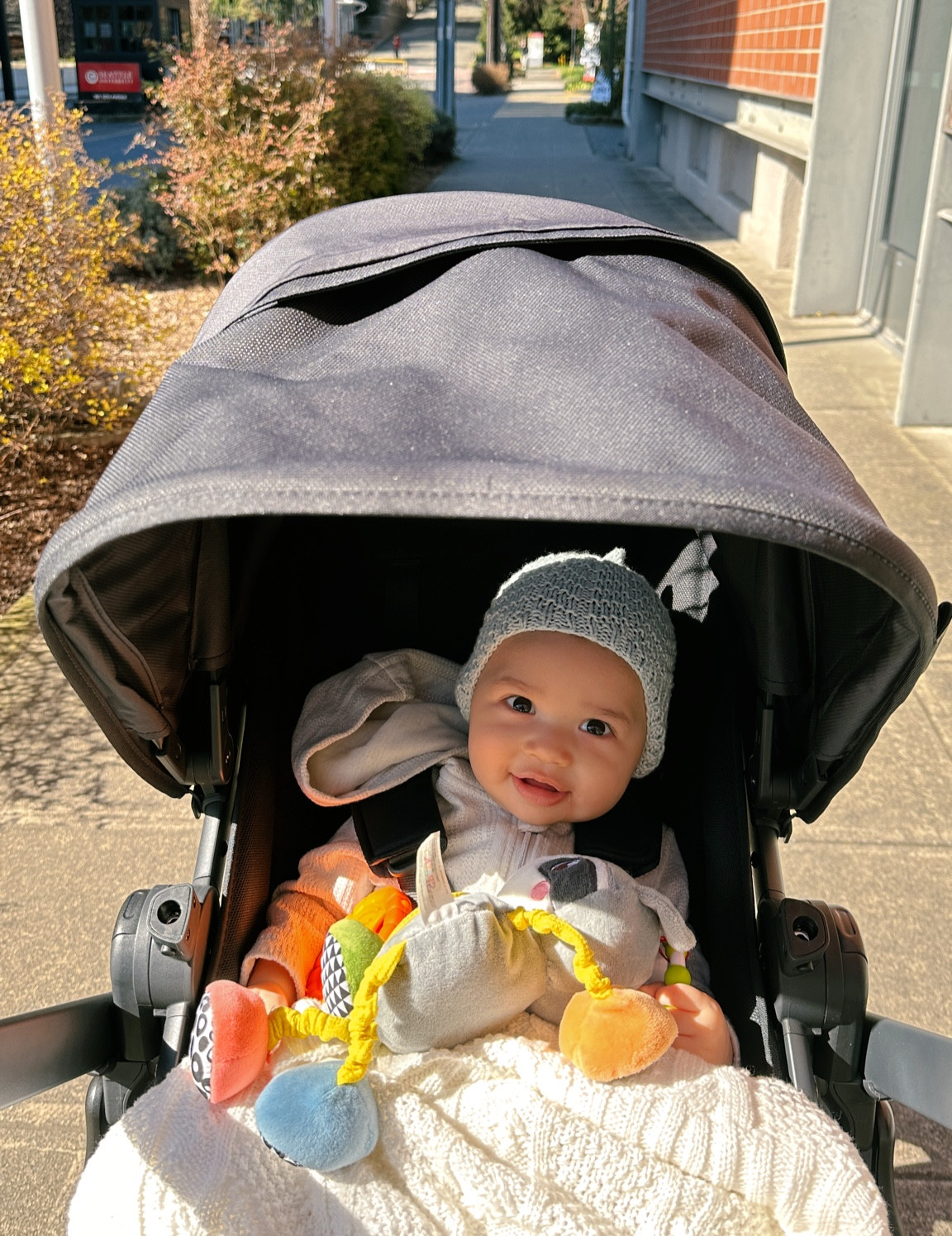 The absolute best baby stroller! Rides so smooth, feels so safe, and baby loves all the attachments. We have used the car seat, bassinet and toddler attachments 

#babystroller #toddlerstroller #baby #babyregistry #uppababy #uppababyvista 

#LTKfamily #LTKbaby #LTKkids