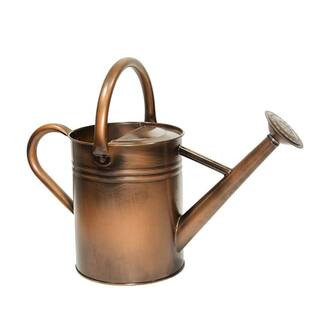 Dyiom Retro Coppery 1 gal. Outdoor Steel Watering Can Sliver Galvanized Steel Watering Can with L... | The Home Depot