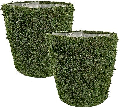 Vita Domi Potted Plant Covers with Plastic Liners Moss Covered Basket Decorative Plant Pot (11" P... | Amazon (US)