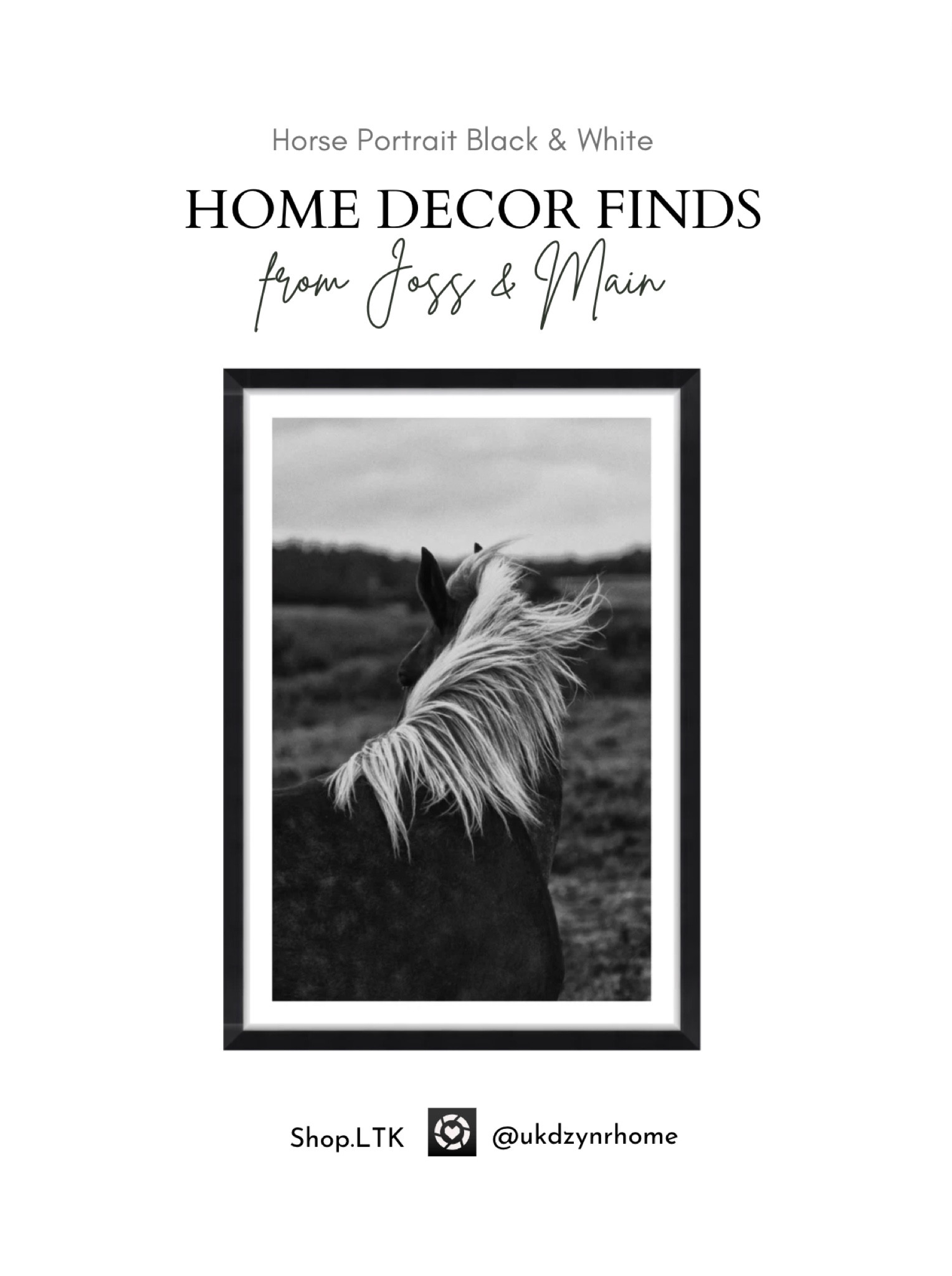 Horse Portrait in Black & White



#LTKGiftGuide #LTKhome