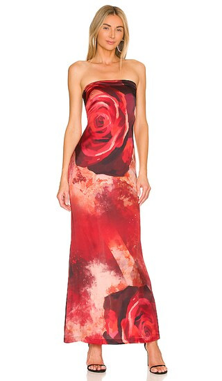 Tube Silk Gown in Red Rose | Revolve Clothing (Global)
