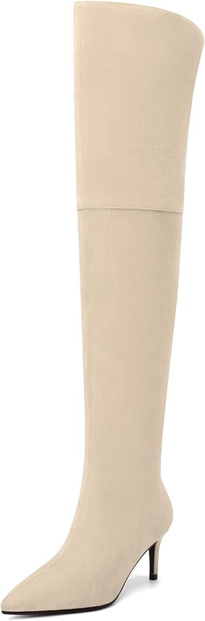 SKYSTERRY Thigh High Boots Over the Knee Boots for Women Pointed Toe Stiletto High Heel Boots Com... | Amazon (US)