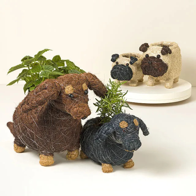 Coconut Fiber Dog Planter | UncommonGoods