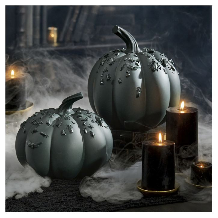 Insect Embossed Pumpkins | Grandin Road | Grandin Road