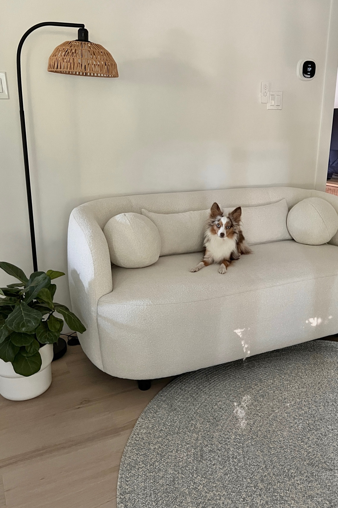 Obsessed with how this natural fiber rug from @Wayfair elevated my space! It’s cozy, breathable, and 100% wool, so no worries about synthetic shedding. Wayfair’s search tools make finding high-quality rugs so much easier #wayfair #wayfairpartner

#LTKHome