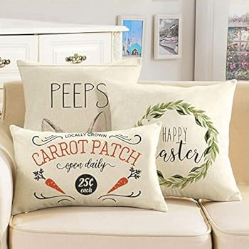 AVOIN Easter Locally Grown Carrot Patch Pillow Cover Decorative Throw Pillowcase, 12 x 20 Inch Rusti | Amazon (US)