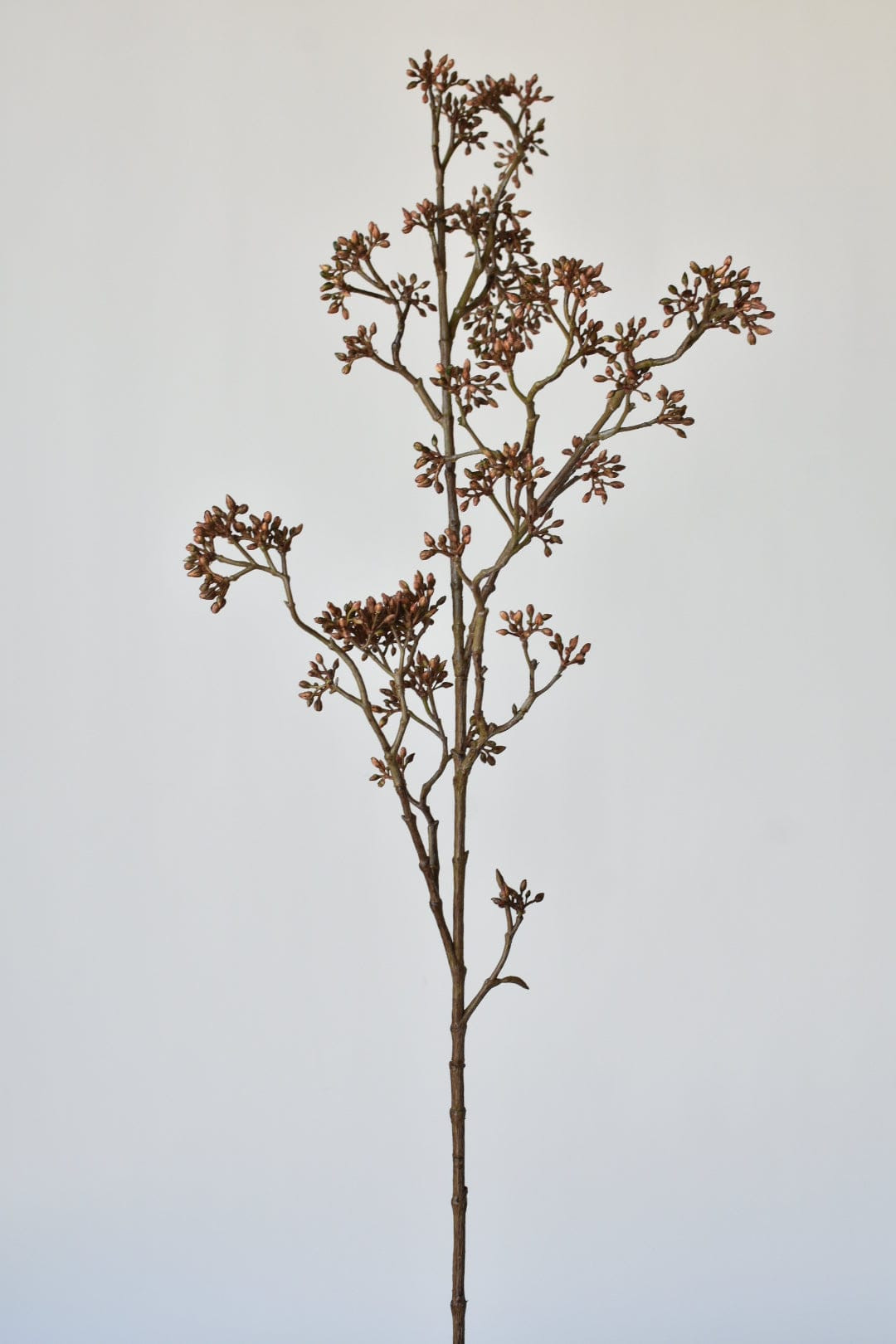 38" FAUX BROWN SEDUM BERRY BRANCH | HouseFloral