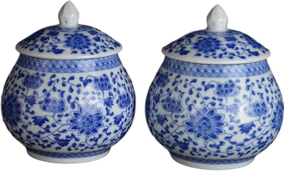 Festcool One Pair of Blue and White Floral Porcelain Ceramic Vases, Tea Sugar Jar Container Stora... | Amazon (US)