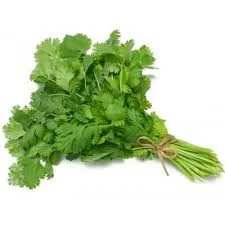 Fresh Cilantro, Bunch | Walmart (US)