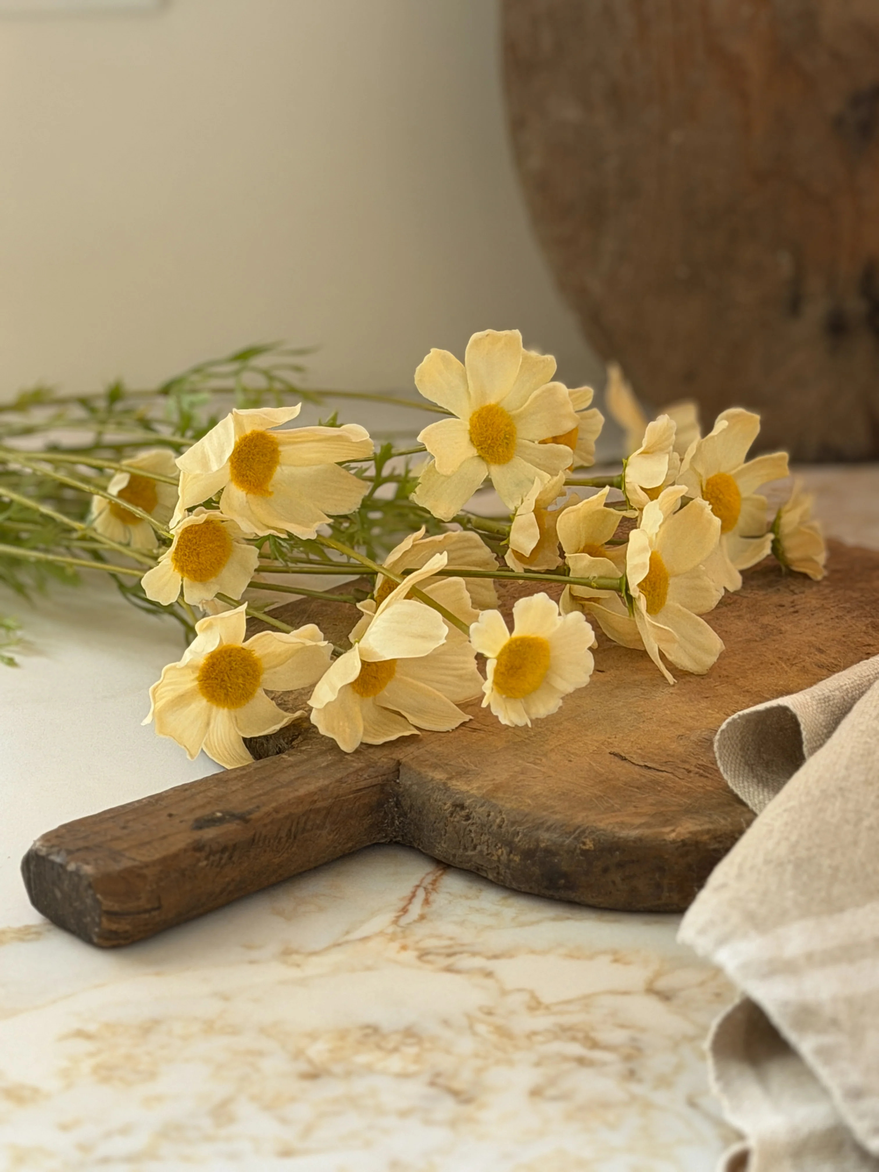 Faux Cosmos Meadow in Buttermilk | Cottage and Key