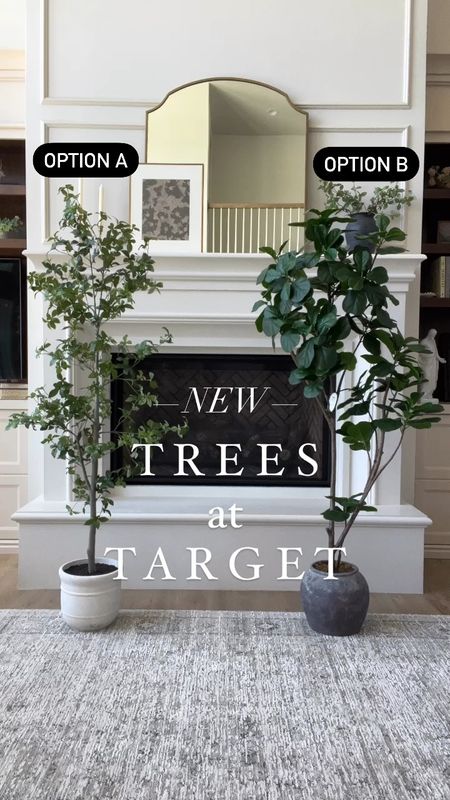 Studio McGee x Target Trees.

Both are 6’ tall and come in the planter pots you see. 

I love them both… can’t decide which one to keep. 😅

#target #tree #homedecor

Home decor, affordable decor, pottery barn dupe, potted tree, faux tree, new target decor, summer decor, home organization, organic modern, gypsophila tree, fig tree, 

#LTKSeasonal #LTKHome #LTKVideo