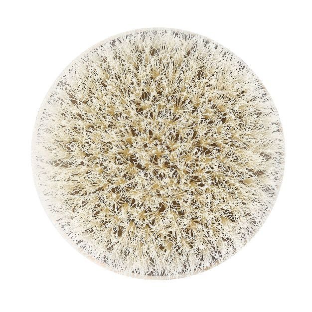 EcoTools Dry Brush - Gray | Target