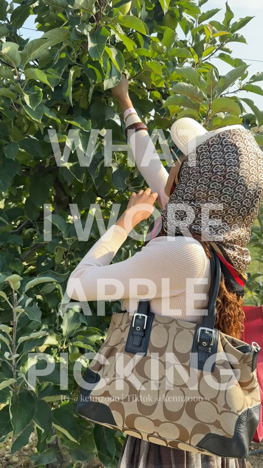 Last year I went apple picking and get wait to wear this outfit again! It gave rich auntie lol and was so cute, fall festive but chic! These Steve Madden boots are EVERYTHING! I didn’t have to compromise safety on the orchard for my style with these 🤌🏽✨

#fallboots #stevemaddenboots #applepickingoutfit #pumpkinpickingoutfit #boots #plaidstyle 

#LTKShoeCrush #LTKStyleTip #LTKSeasonal