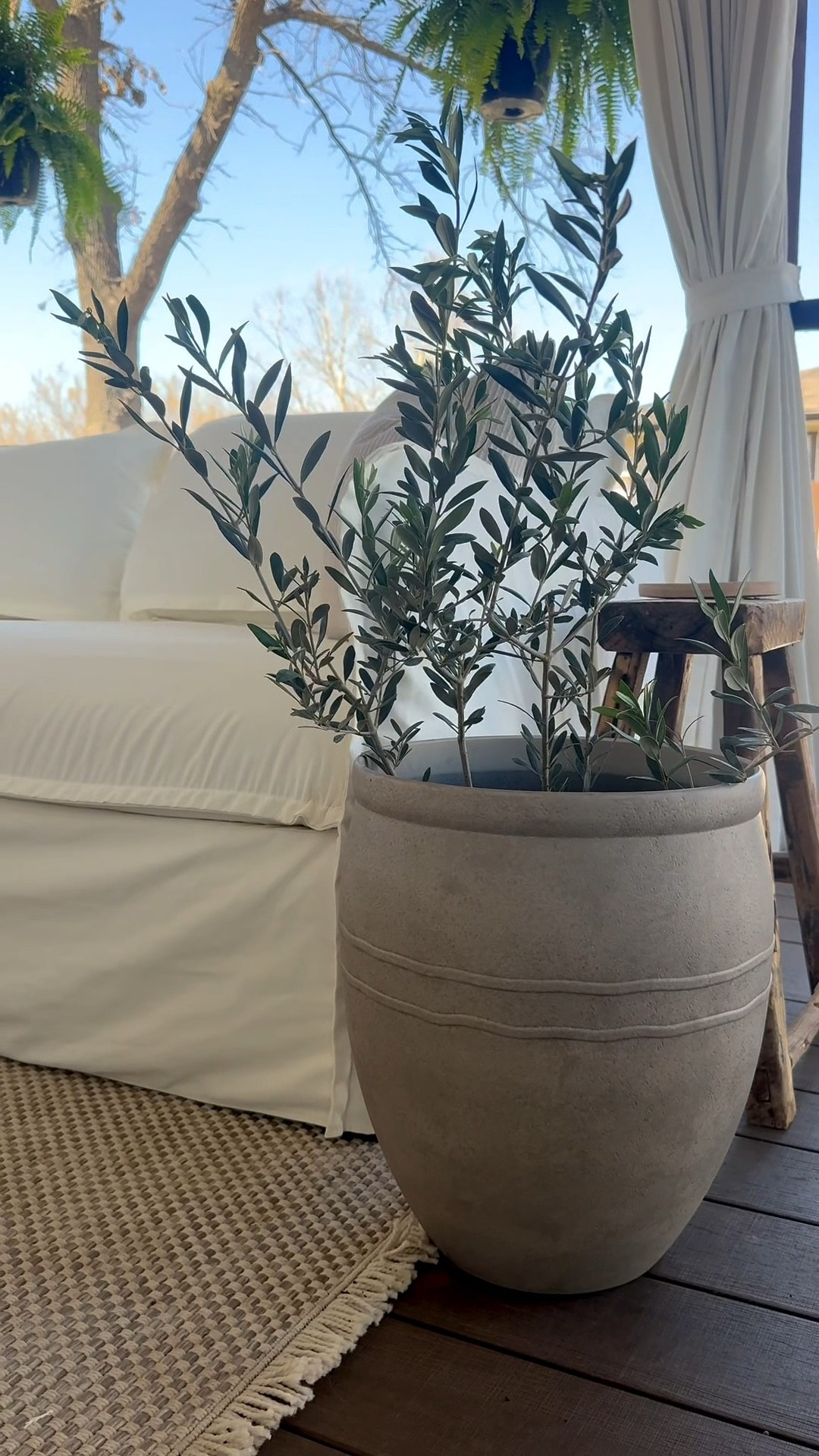 I always get asked about my olive trees. I found a live one sold on Amazon and decided to try it out. I am impressed! I got the 3’ size. It’s time for plants and patios! 

#LTKHome #LTKSeasonal