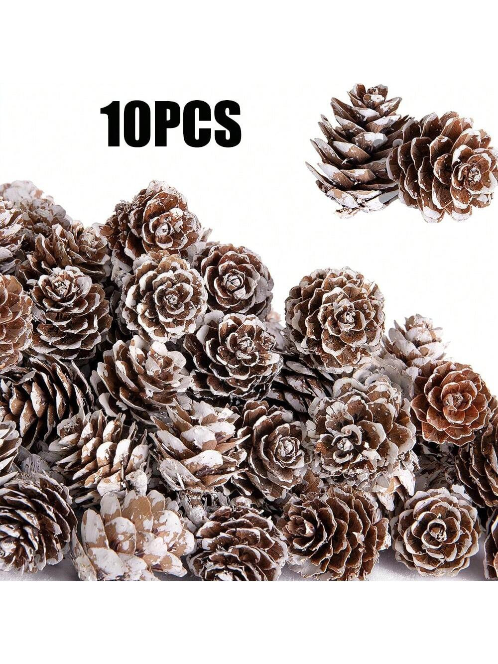 10 Pcs Christmas Natural Mini Pine Cones- Small Christmas Snow Pinecones Ornaments- Thanksgiving ... | SHEIN