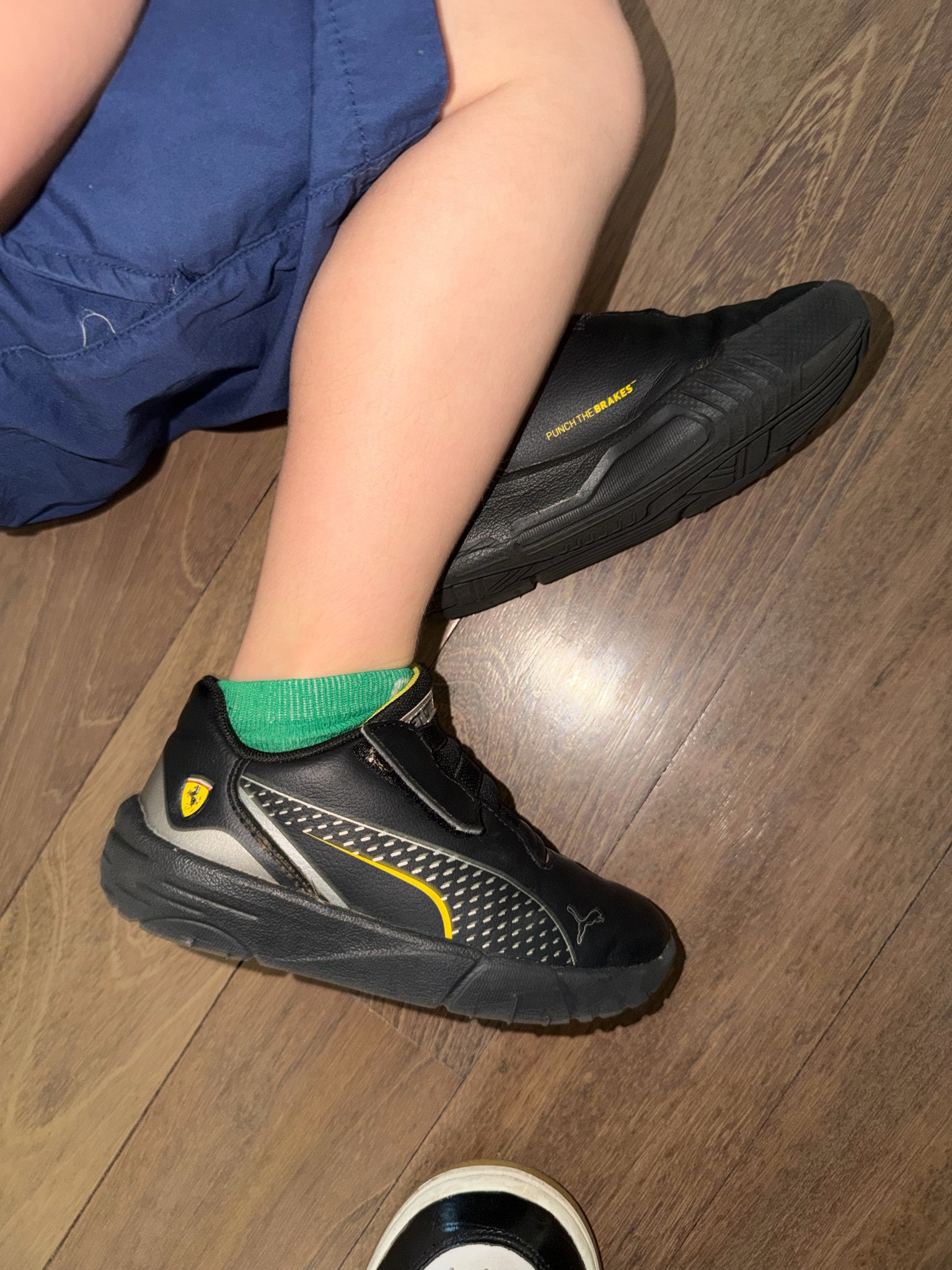 New kicks, who dis? 

Your little racer NEEDS these Puma x Ferrari racing sneakers. AND they’re on sale 🏃‍♀️ #kidsshoes #ltkshoes

#LTKootd #LTKmomlife #LTKKids