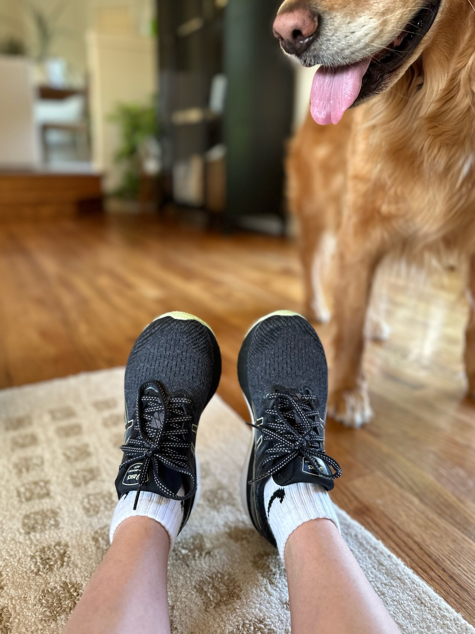 Let me start by saying I’m a Nike tennis shoe girl - always have been. But my sister is a runner and has been wearing these shoes. We gifted them to our mom for her birthday, and she loved them. So I ended up buying them and honestly? Best tennis shoes I’ve ever worn. I’ve tried Hoka’s (they hurt my feet) and I’ve tried On’s (wanted more support) so yeah, I guess I’m an ASICS gal now. They’re on sale @ Amazon for under $70 (almost 50% off!) and I ordered back up pairs. Run, don’t walk!

#LTKFitness #LTKunder100 #LTKshoecrush