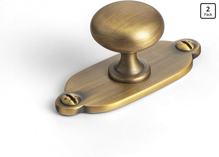 Goo-Ki Brushed Brass Bronze Zinc Alloy Cabinet Knob with Backplate - Single Hole Center Cabinet P... | Amazon (US)