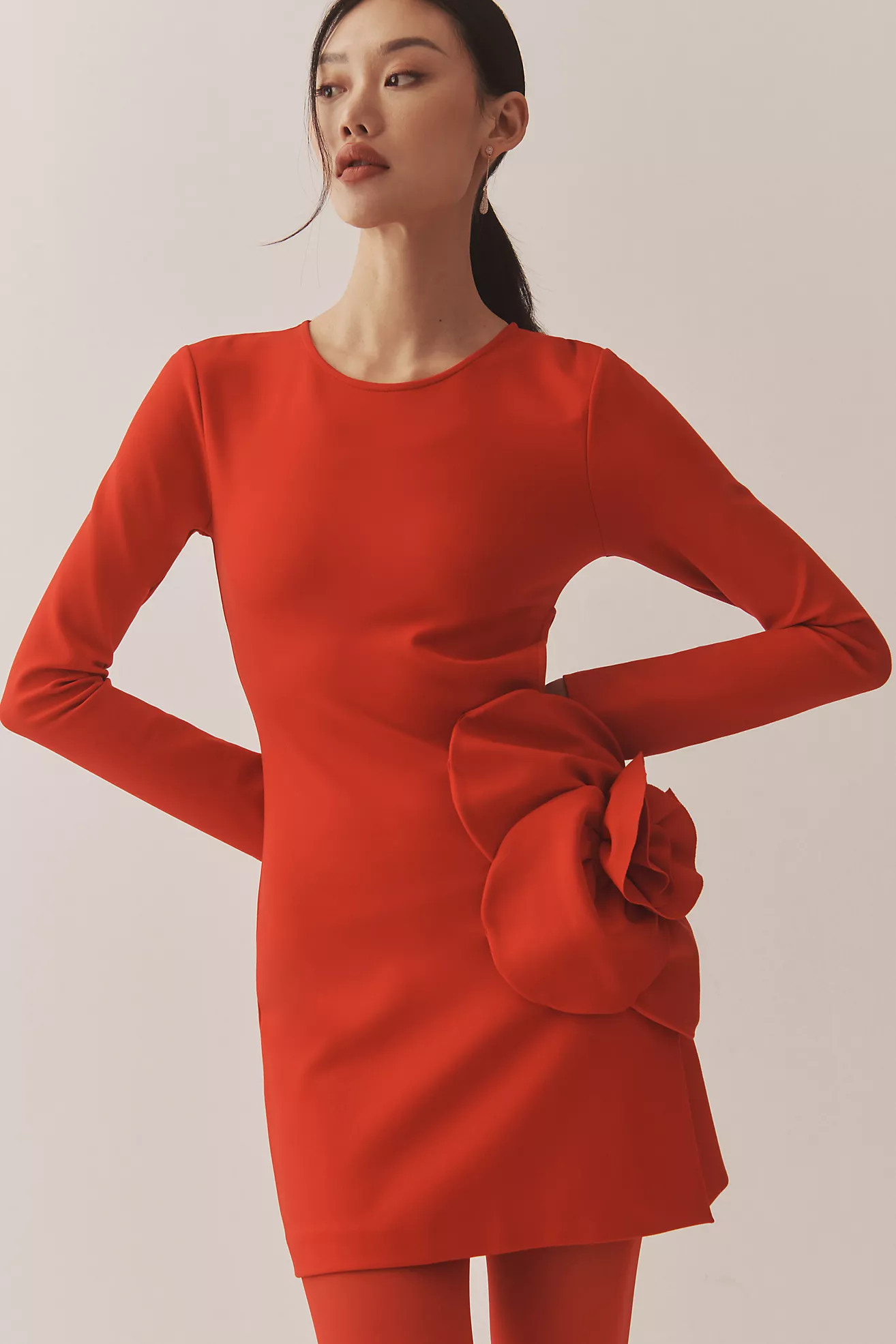 Delfi Collective Long-Sleeve Statement Flower Mini Dress | Anthropologie (US)