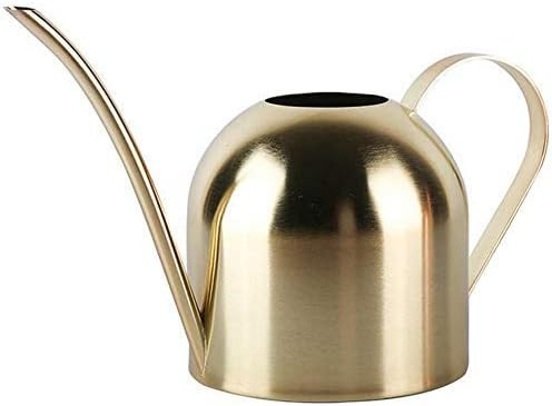 Enpato Small Watering Can Bonsai Stainless Steel Plant Water Pot for Indoor Office Plants and Gar... | Amazon (US)