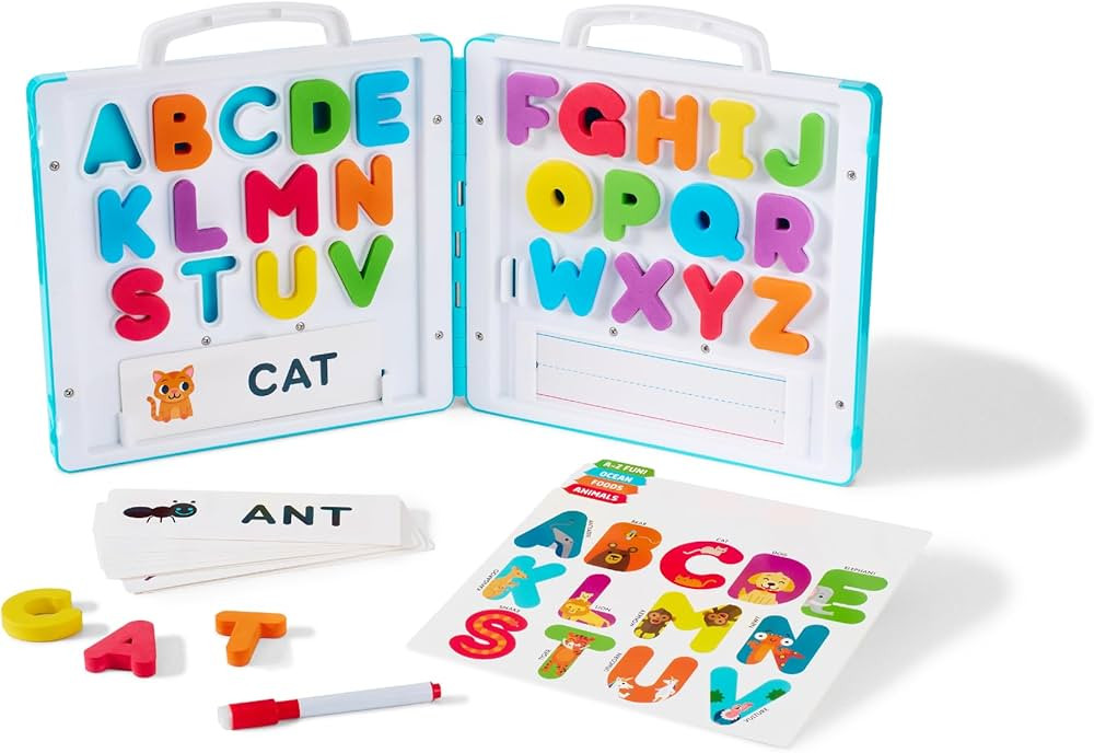Chuckle & Roar Travel Learning Case All About ABC Flash Card Edition | Amazon (US)
