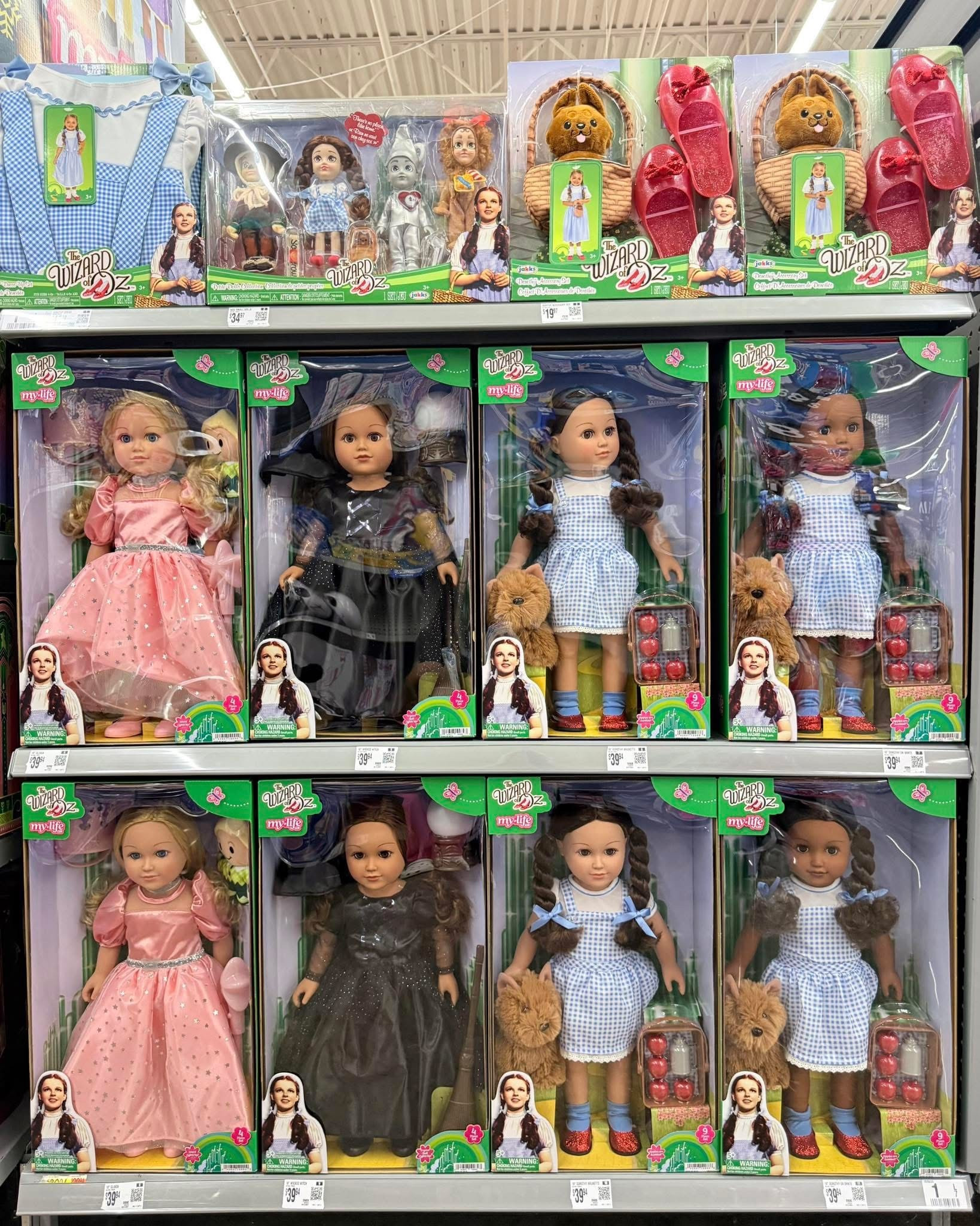 Your not in Kansas! Well, maybe you are!!!

#LTKHoliday #LTKSeasonal #LTKGiftGuide