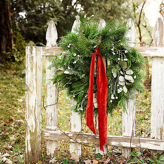 Fresh Fir, Cedar, Ammobium + Silver Dollar Eucalyptus Wreath | Terrain