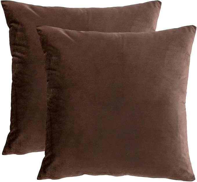 Brown Throw Pillows Covers Set of 2 Soft Velvet Decorative Pillow Covers 20x20 Inch for Couch Bed... | Amazon (US)