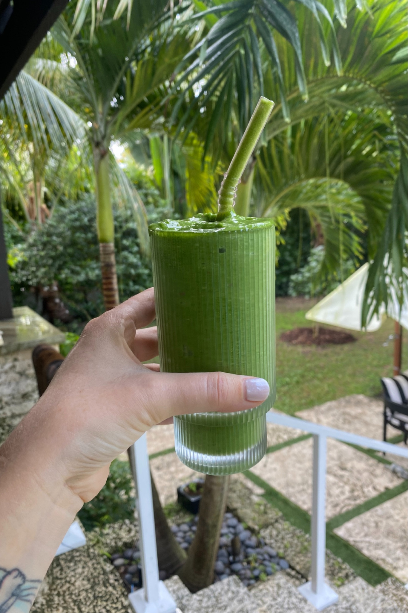 The cutest smoothie glasses 🍏 