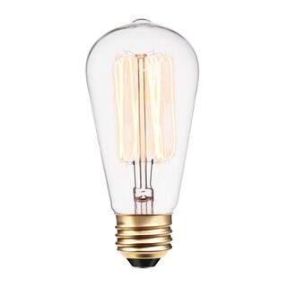 60 Watt S60 Dimmable Cage Filament Vintage Edison Incandescent Light Bulb, Warm Candle Light | The Home Depot
