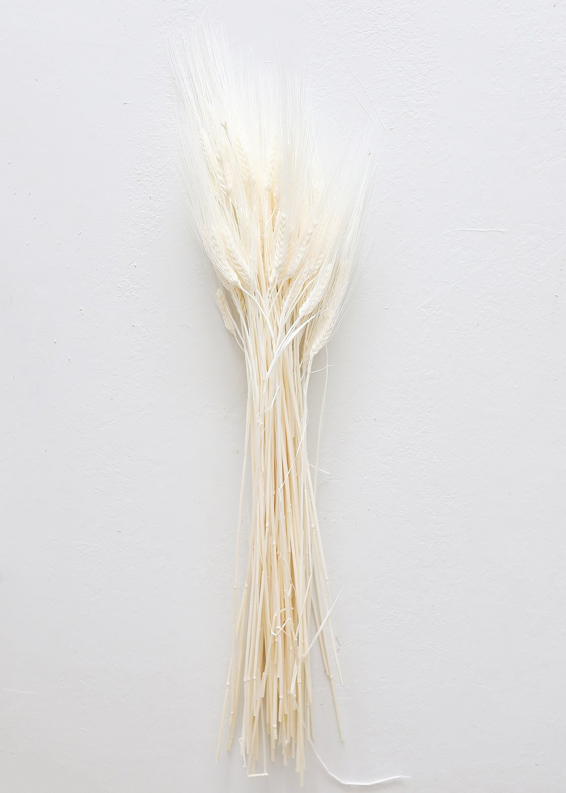 Bleached Triticum Wheat - 30" Tall | Afloral (US)