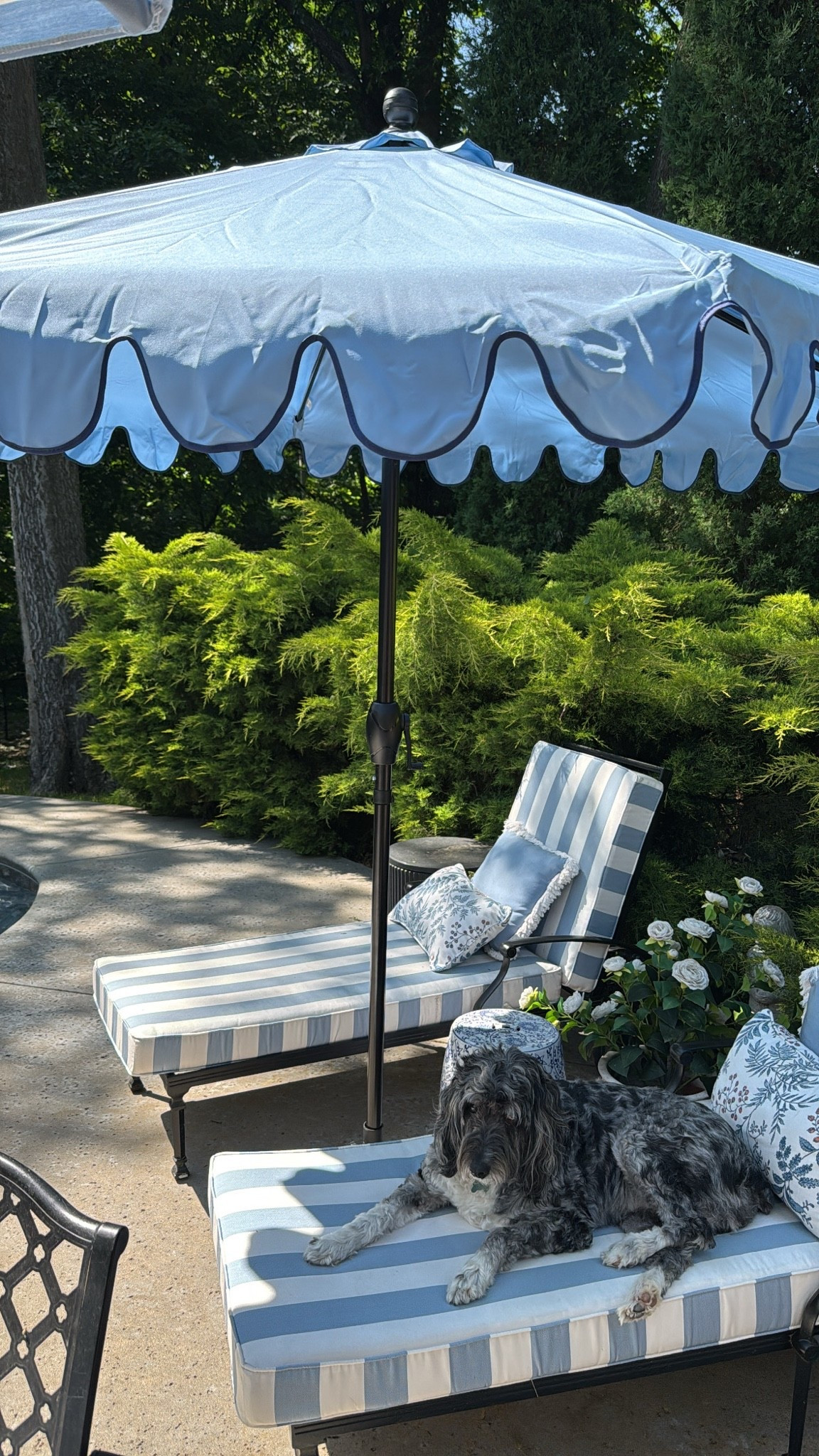 A scalloped patio umbrella for just under $75!!! Yes, please!! And, y’all, I’ve bought our fair share of patio umbrellas over the years. This one is so cute and the price is AMAZING

#LTKSeasonal #LTKHome #LTKSaleAlert