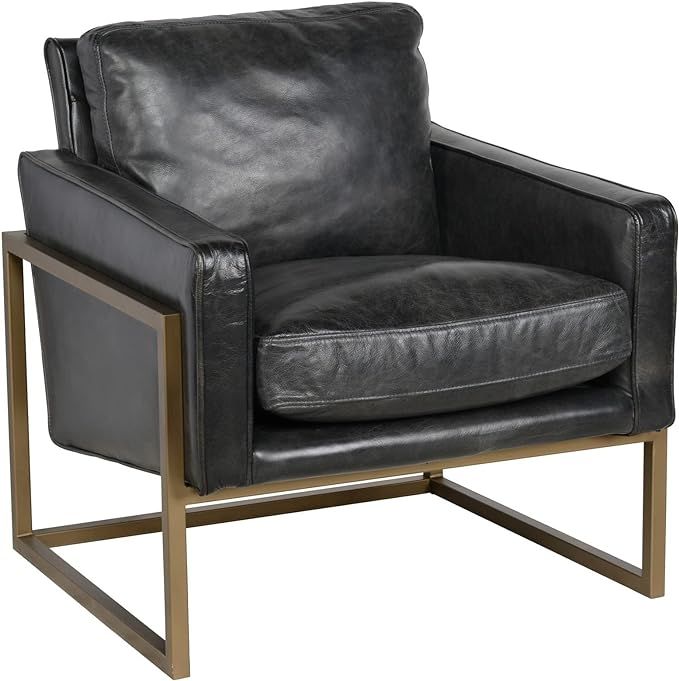 Benjara 30 Inch Classic Club Chair, Top Grain Black Leather Upholstery, Brass Frame | Amazon (US)