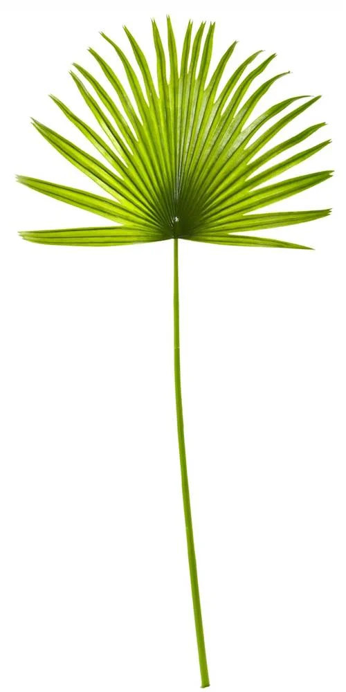 33"" Fan Palm Artificial Spray Plant (Set of 6) - Walmart.com | Walmart (US)