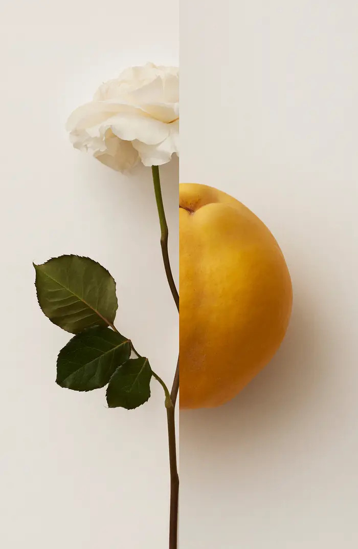 Burberry My Burberry Eau de Parfum | Nordstrom | Nordstrom