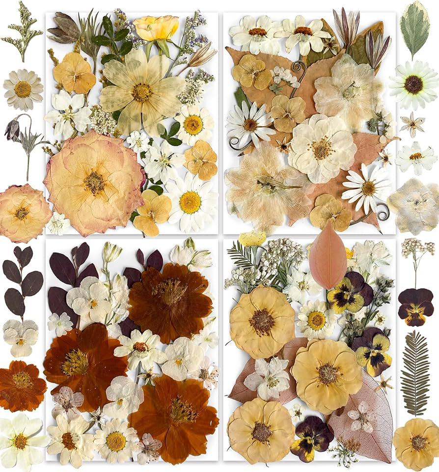 148PCS Dried Pressed Flowers for Resin Craft - YouthBro Real Nature Flowers Set with Butterfly St... | Amazon (CA)