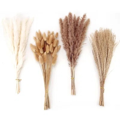 Dried Pampas Grass – 100 Stems Bunny Tails, Reed Bouquet, 17", White Brown, Wedding Boho Table Decor, Rustic Farmhouse Party | Wayfair North America