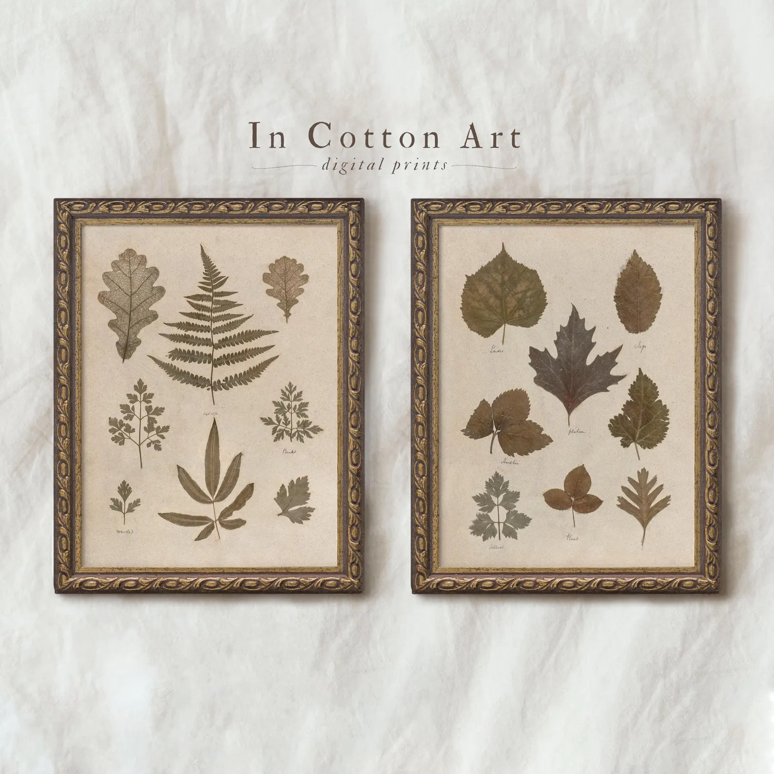 Antique Herbal Art Prints / Autumn Botanical Vintage Pressed Leaf Art SET / Farmhouse Kitchen Wal... | Etsy (US)