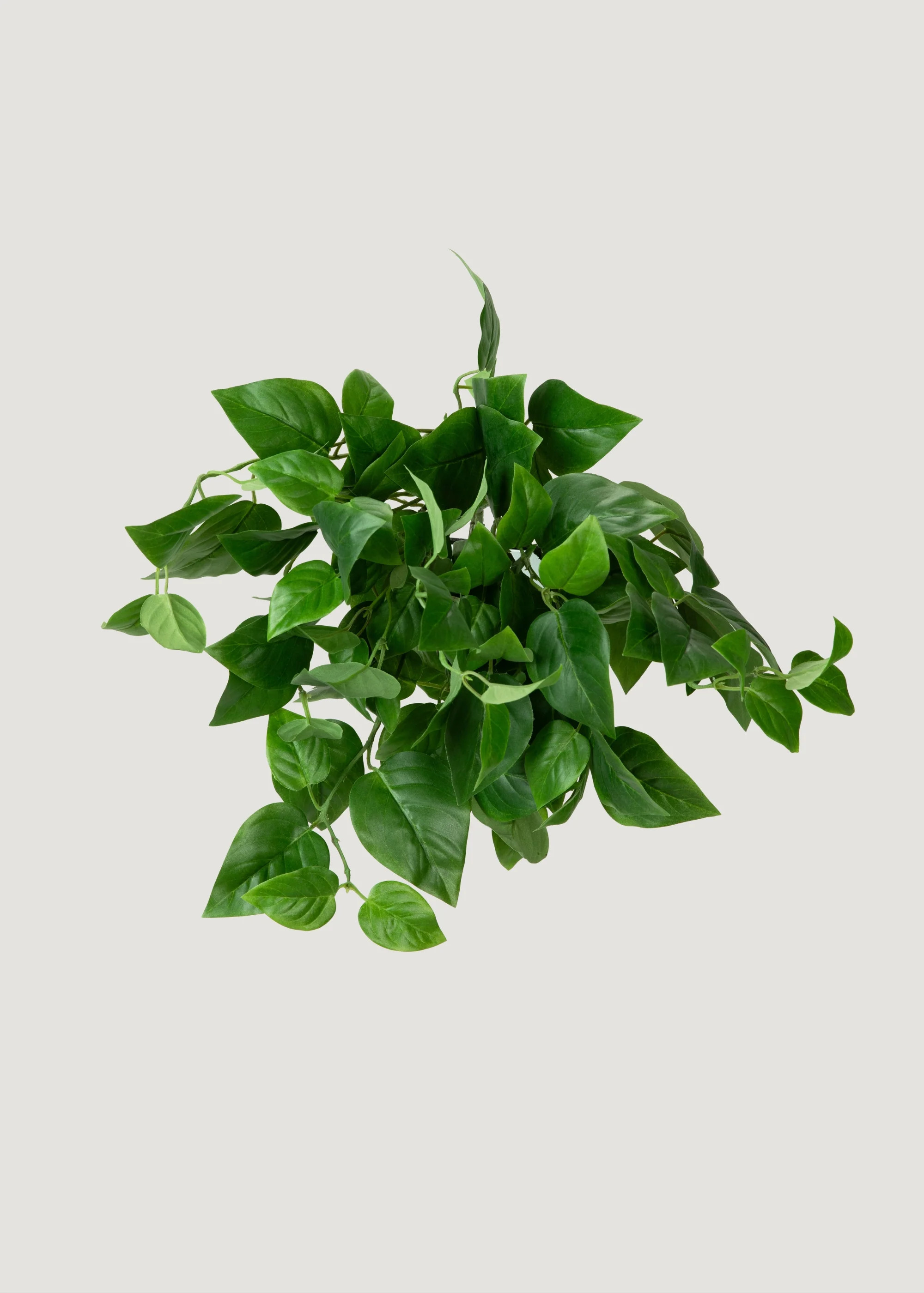 Outdoor Hanging Philodendron | UV Treated Fake Plants | Afloral | Afloral
