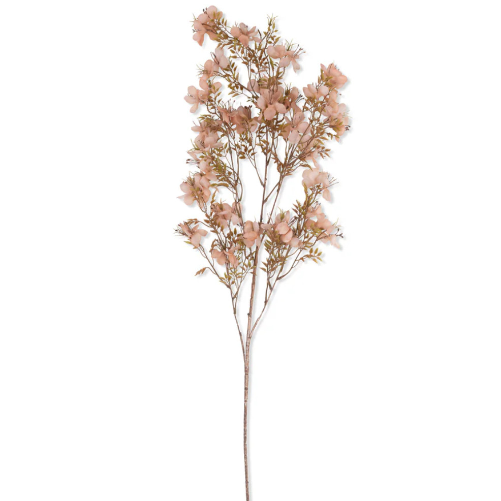 Prunus Blossom | Fiddle & Fig