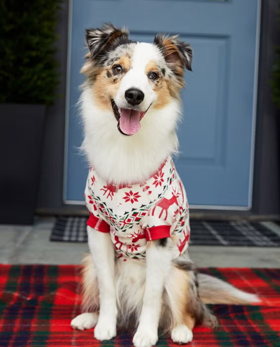 Dear Deer Holiday Dog Pajamas in 100% Cotton - Size Pet S by Hanna Andersson | Hanna Andersson