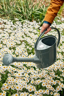 Galvanized Steel Watering Can | Terrain