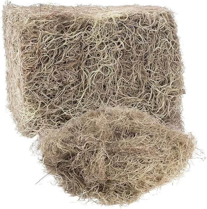 Royal Imports Preserved Natural Spanish Moss, Fresh Dried Shredded Loose Chunks, 8 Oz Bag | Amazon (US)