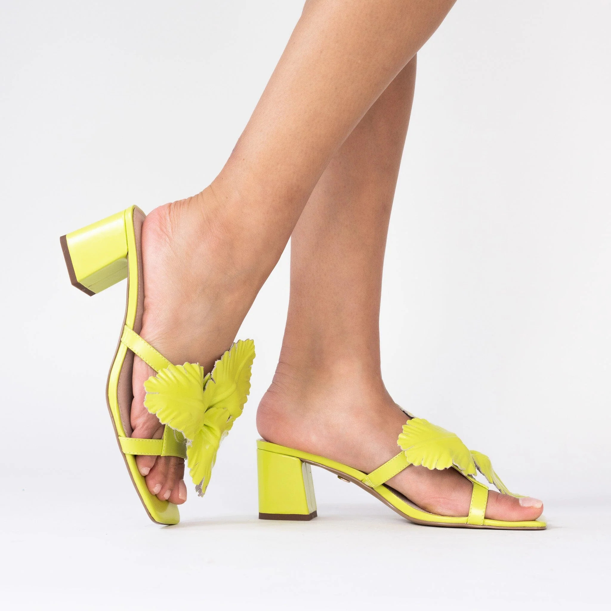 CECELIA NEW YORK - HAPPY LIMEADE | Cecelia New York