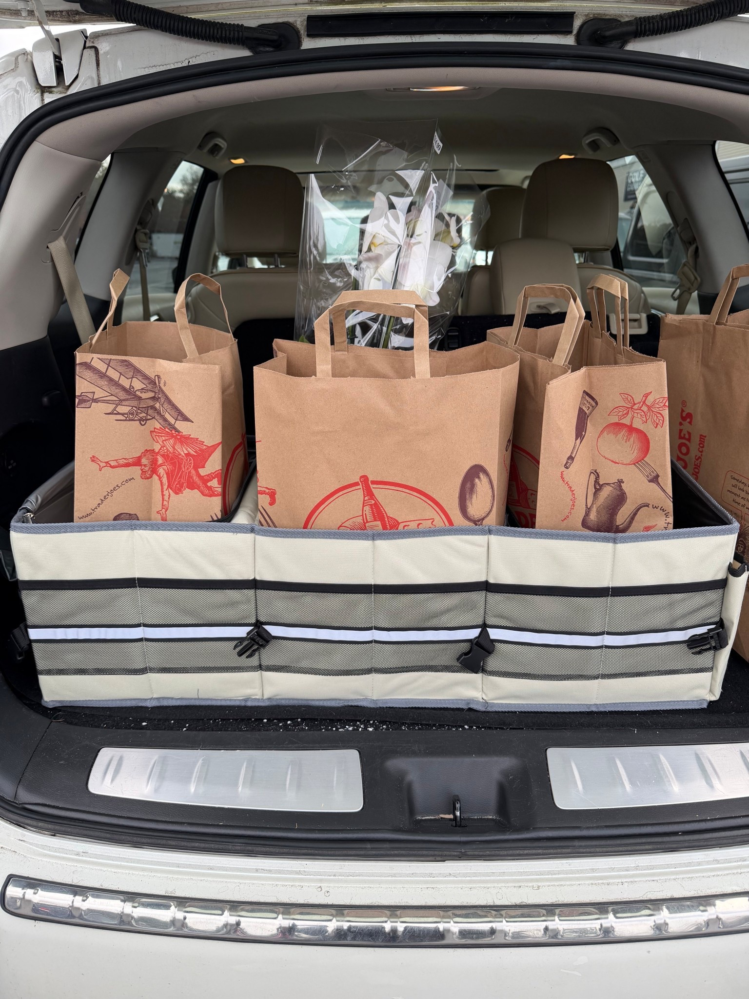 Save your orchid, and get this trunk organizer 😜 But in all seriousness get this organizer for the back of your suv or car… it’s great for so many different activities and best part is, it has a cooler section for your cold groceries if you have to run more errands after a quick grocery store trip. 