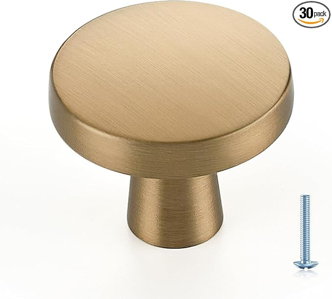 Ravinte 30 Pack Solid Single Hole Kitchen Round Cabinet Knobs Champagne Bronze Pulls Drawer Knobs... | Amazon (US)