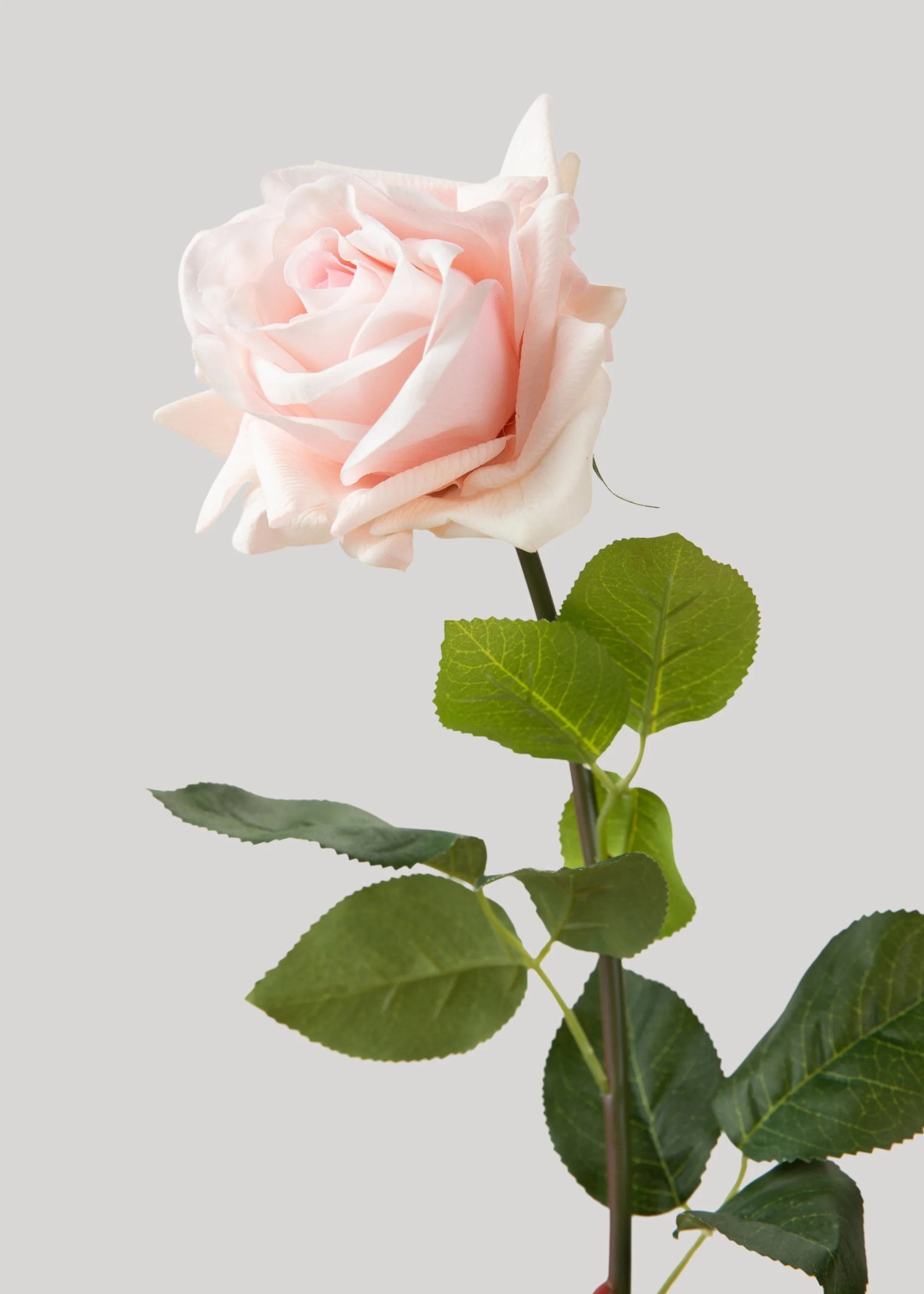 Real Touch Rose Stem in Pink | Artificial Wedding Flowers | Afloral | Afloral